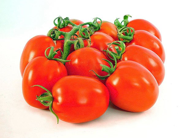 Tomato